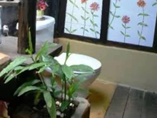 Паи: Paina Paita Home