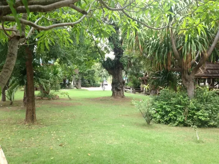 Кхлонг-Янг: Green View Resort