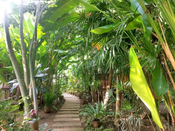 Паи: Breeze of Pai Guesthouse
