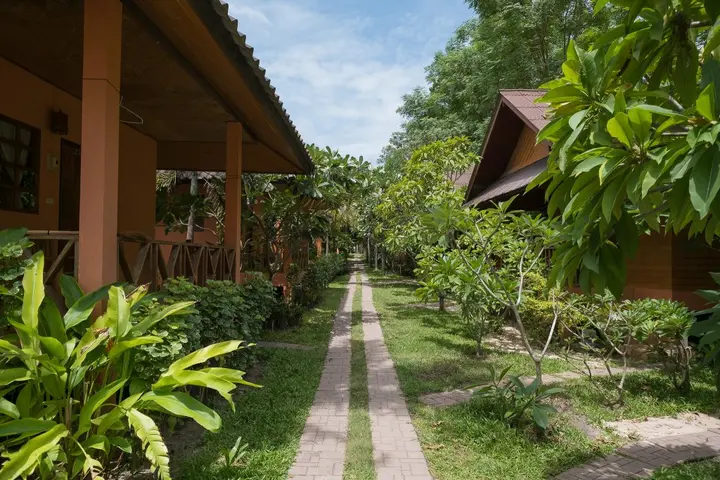 Остров Тау: Nat Resort Koh Tao