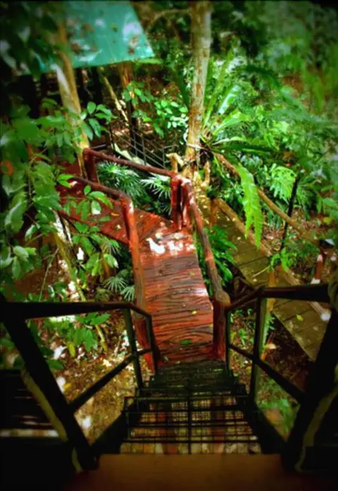 Khao Sok Tree House — фото 4