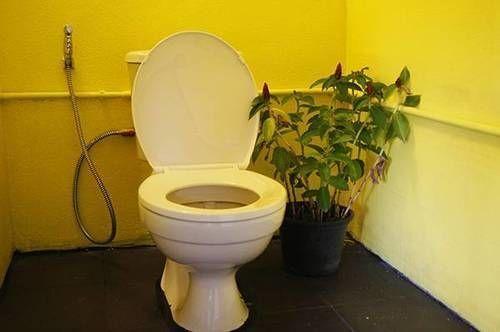 Такуа Па: Dorm Des Fleurs