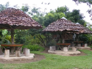 Паи: Banana House Pai