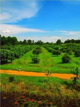 Сукотай: Therdthai Farm Boutique Hotel