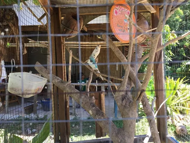 Ланта: Klong Khong Garden