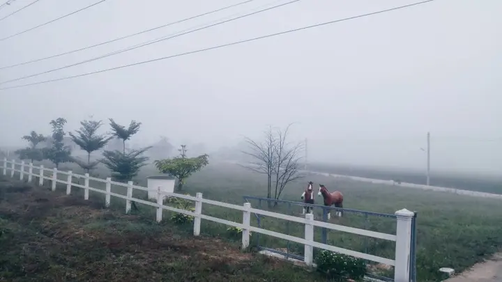 Мае-Таенг: Santitham Farm Stay