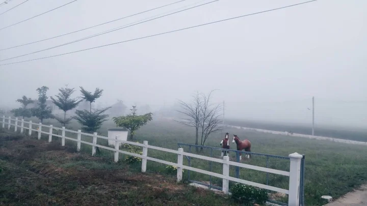 Мае-Таенг: Santitham Farm Stay