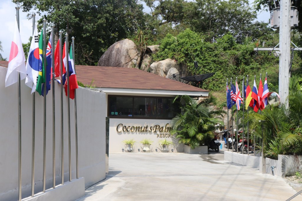 Самуи: CoconutsPalm Resort