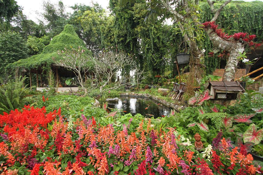 Mae Chan: Phu Chaisai Mountain Resort & Spa