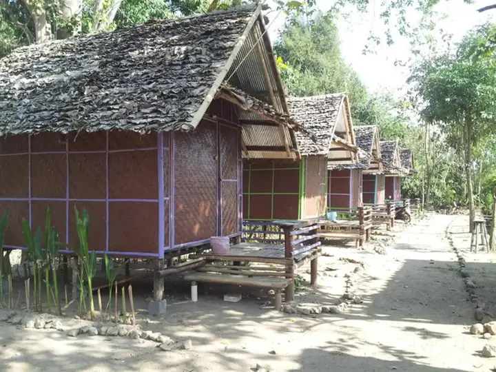 Purple Monkey Backpackers — фото 4