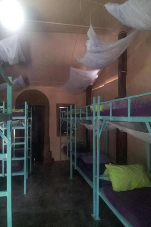 Purple Monkey Backpackers — фото 2