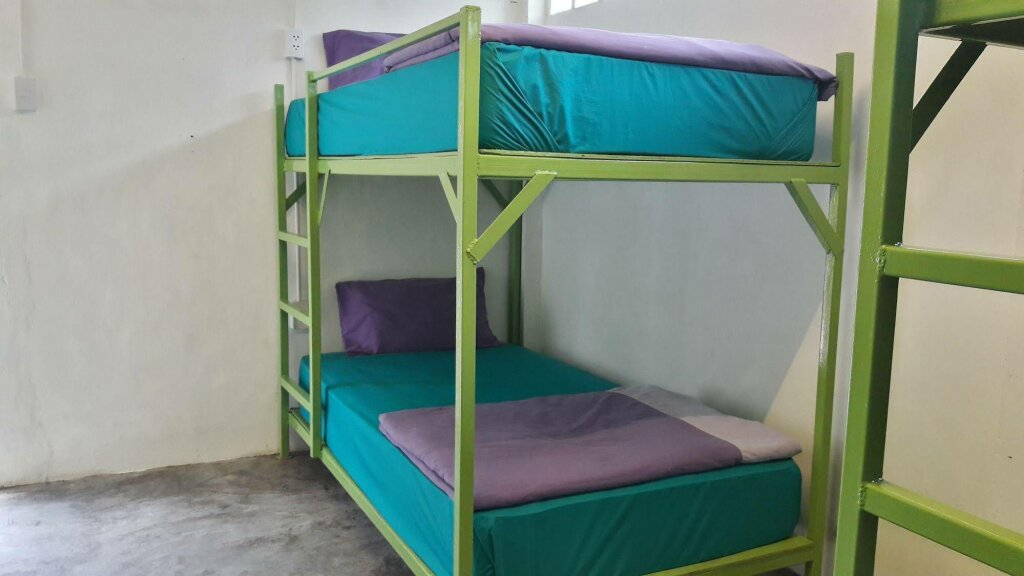 Purple Monkey Backpackers — фото 1