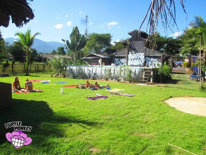 Паи: Purple Monkey Backpackers