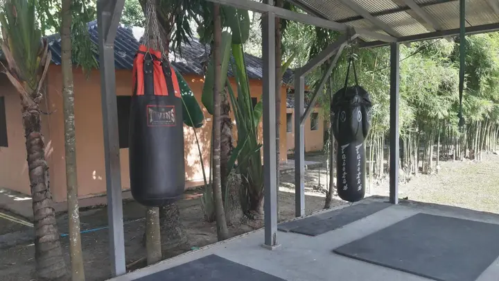 Паи: Purple Monkey Backpackers