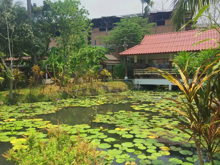Мэхонгсон: Rom Thai Guesthouse
