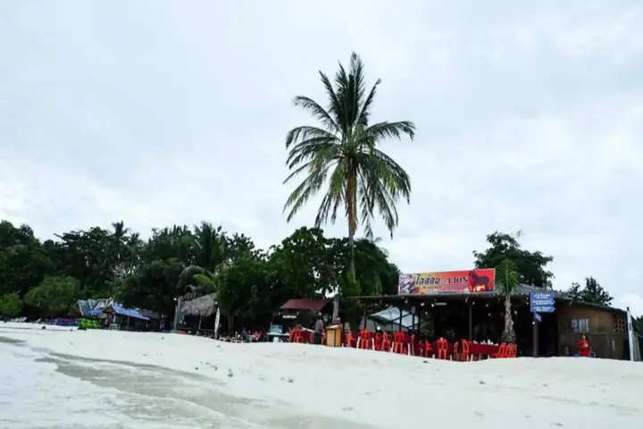 Ко-Липе: The LION resort