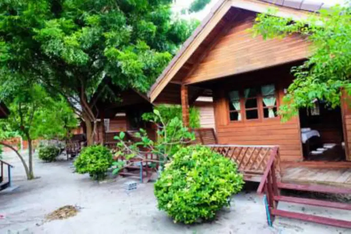 Ко-Липе: The LION resort