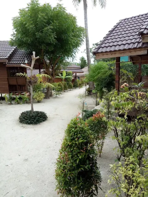 Ко-Липе: The LION resort