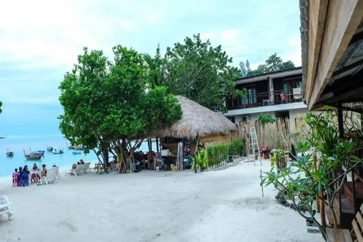 Ко-Липе: The LION resort