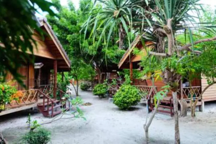 Ко-Липе: The LION resort