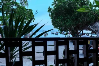 Ко-Липе: The LION resort