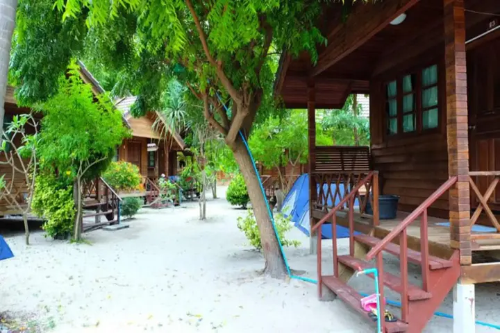 Ко-Липе: The LION resort