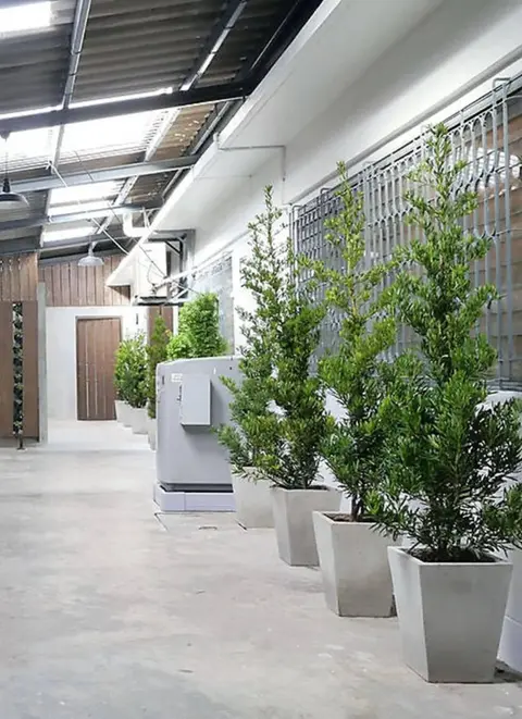 Бангкок: Baan Mai Guest House
