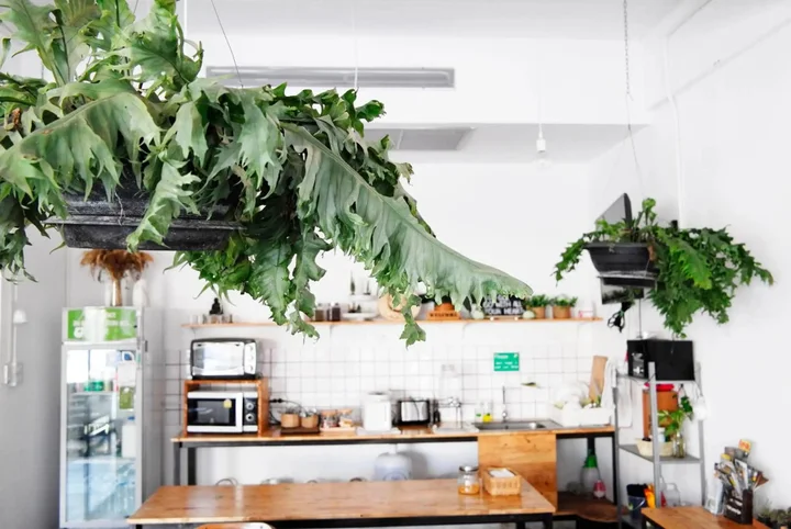 Чиангмай: Green Sleep Hostel