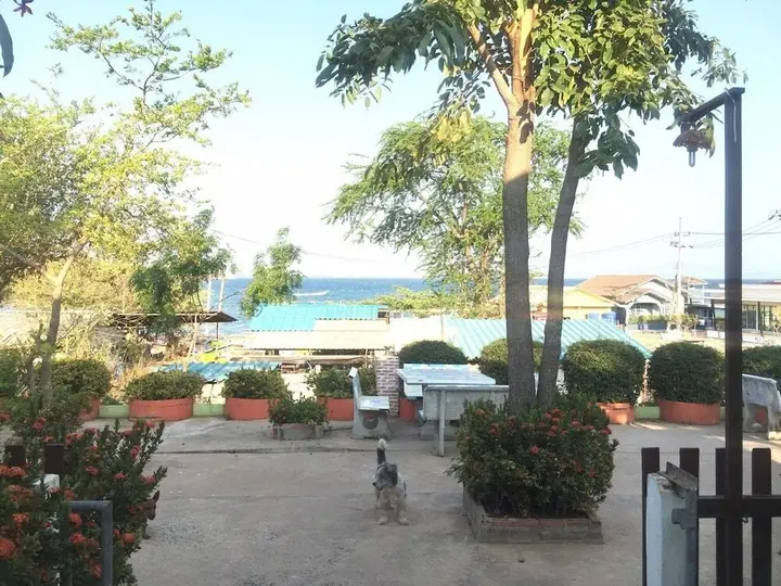 Ко-Лан: Insook Ko Larn Guesthouse