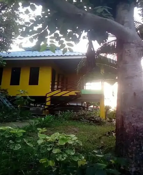 Остров Тау: OK View Koh Tao