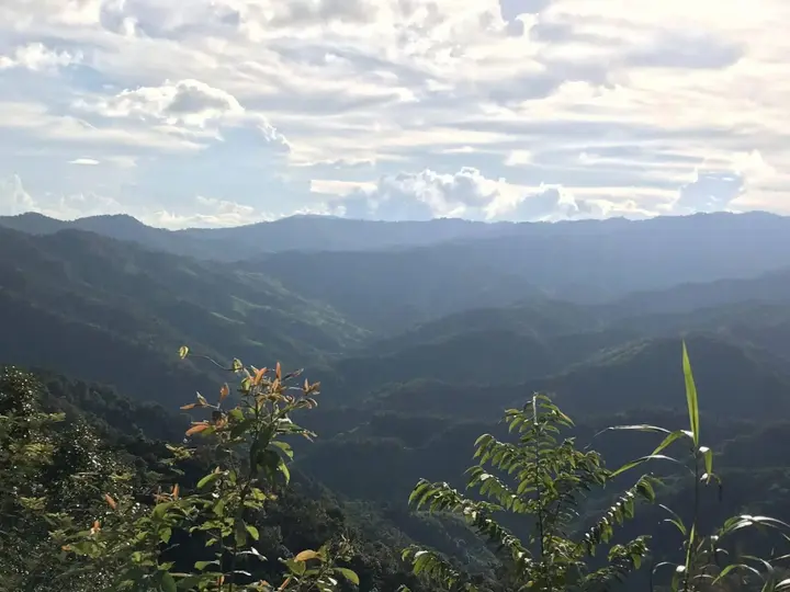 Мае Фа Луанг: Shin Sane Guesthouse