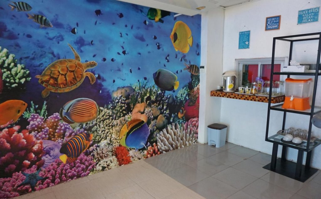 Sea Turtle Hostel - Adults Only — фото 2