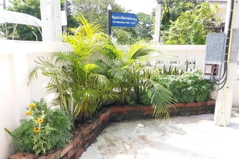Кхлонг-Янг: Ruean Kaew Place