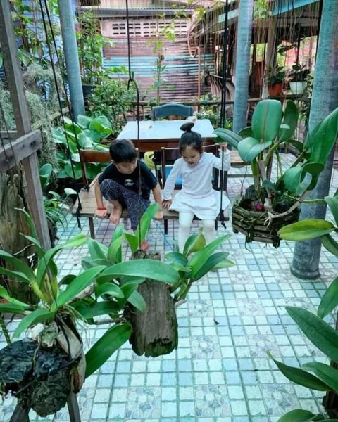 Паккрет: Cast Away Homestay