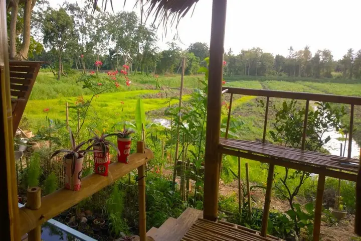 Паккрет: Cast Away Homestay