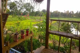 Паккрет: Cast Away Homestay