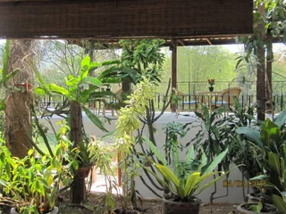 Дан-Сай: Ban Paja Resort
