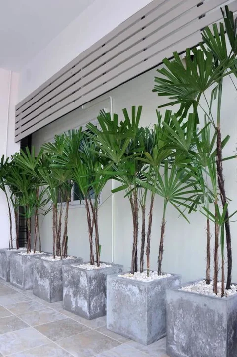 Хатъяй: Baai Baai Mansion