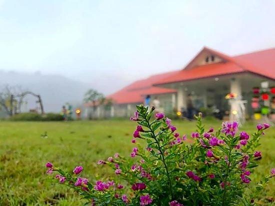 Пан Сон Кария: Kantika Resort
