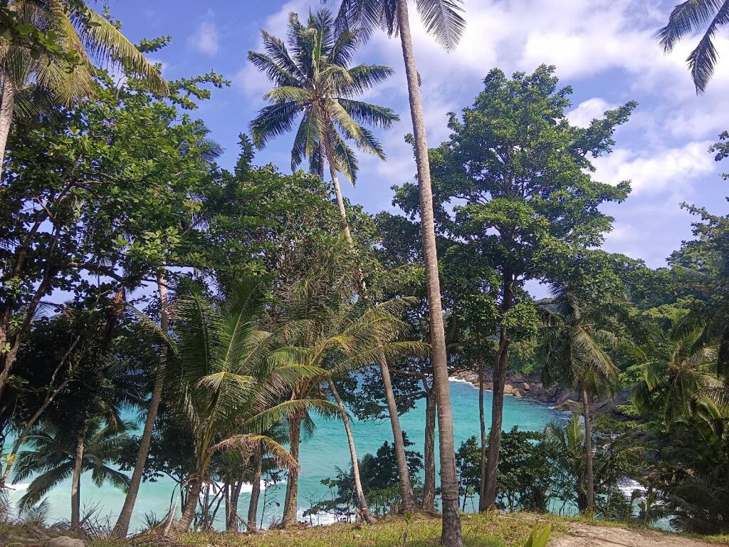 Кату: Patong Holiday Hotel