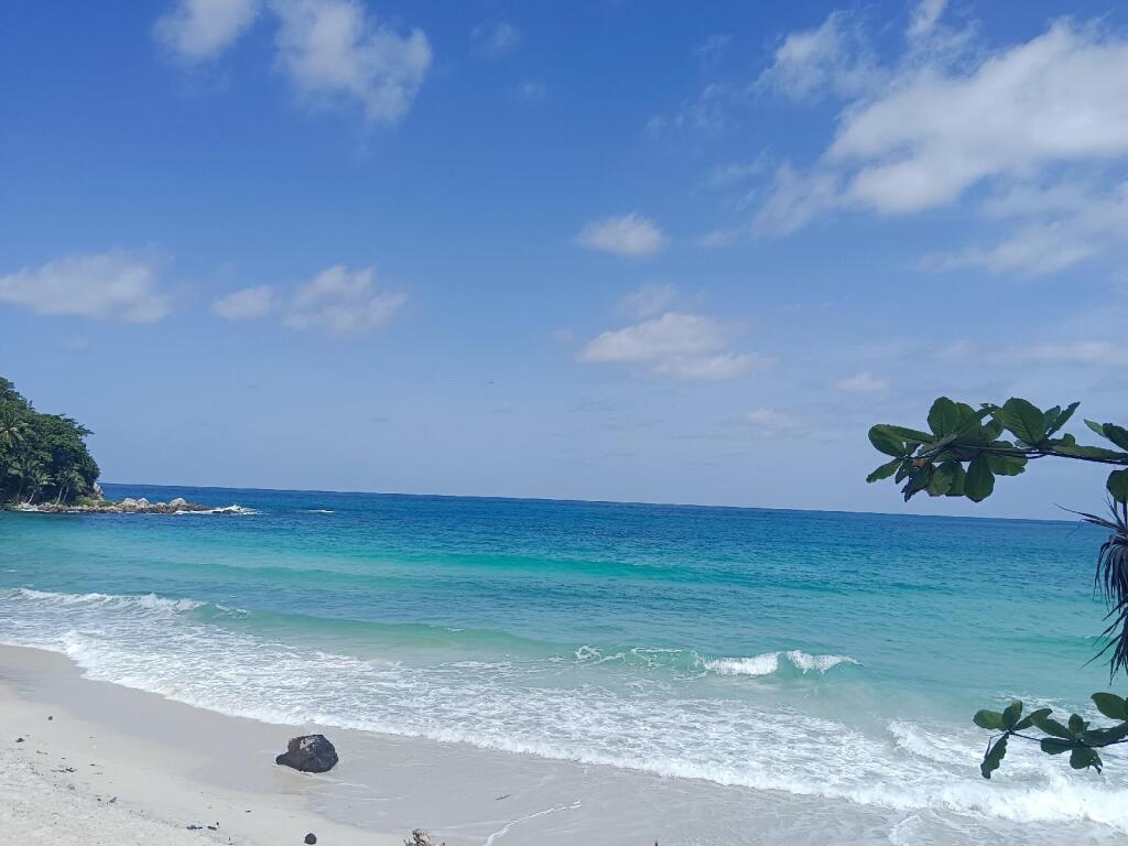 Кату: Patong Holiday Hotel