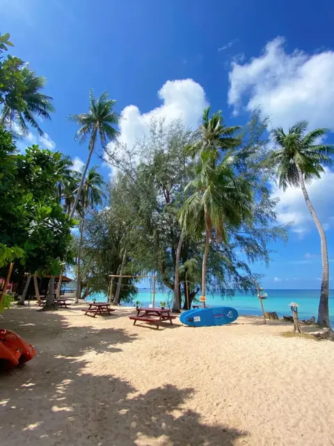 Остров Тау: Sairee Cottage Resort (SHA Plus+)