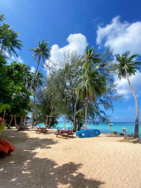 Остров Тау: Sairee Cottage Resort (SHA Plus+)