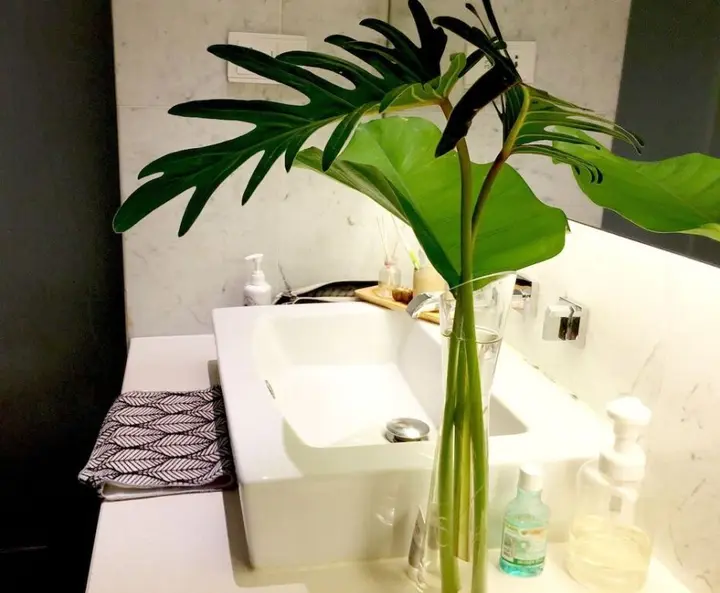 Хуахин: Perfect Harmony Condotel
