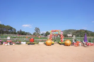 Пху Руэа: Phufahsai Resort Phurua