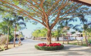 Лоэй: Roongthiwa resort Phurua