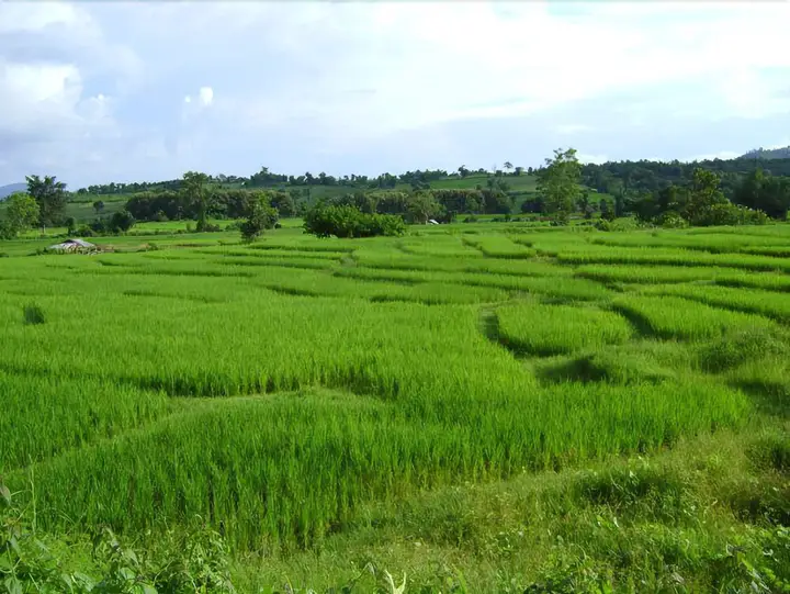 Bannumhoo Homestay Resort & Camping — фото 1