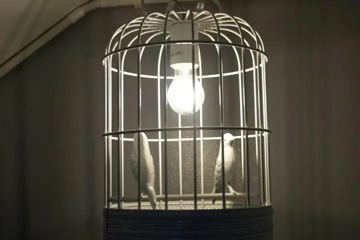 Чиангмай: Sereno Nimman Hotel