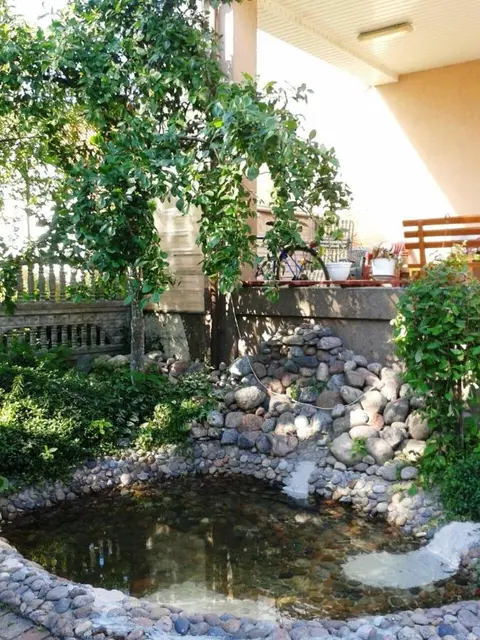 Зеленоградск: Guest House Trigona