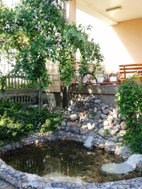 Зеленоградск: Guest House Trigona